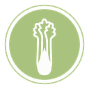 Celery